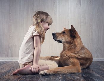 veterinary-girl-with-dog-main.jpg