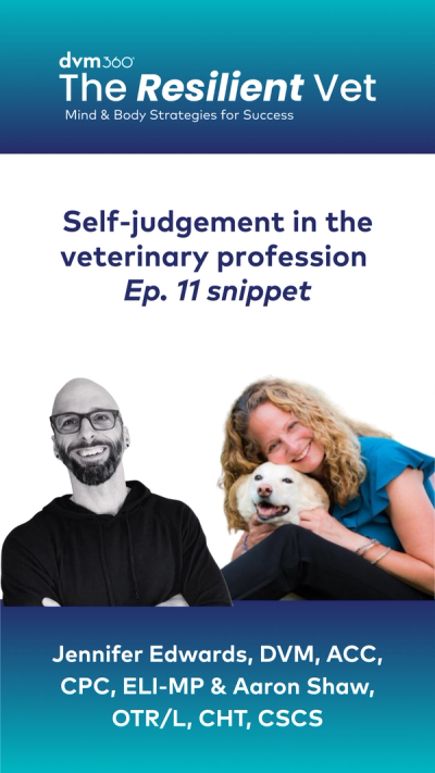 Self-judgement in the veterinary profession