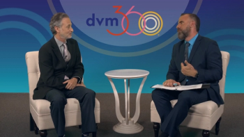 adam christman peter weinstein carecredit