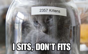 HD2SITSFITS450.jpg