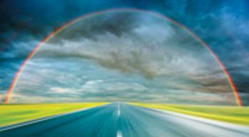 veterinary_rainbow_10074723-804215-1384153098409.jpg