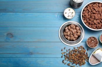 Photo: New Africa/Adobe Stock