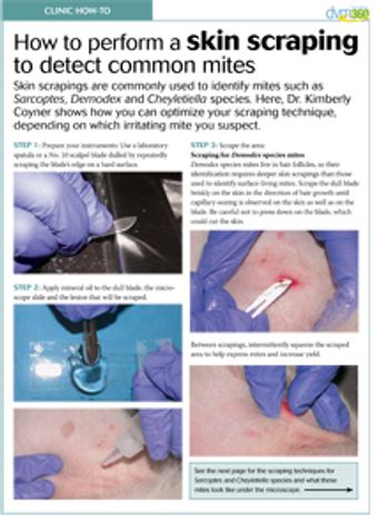 veterinary-skin-scrape-clinic-handout_220.jpg