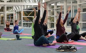 What I learned at Fetch dvm360