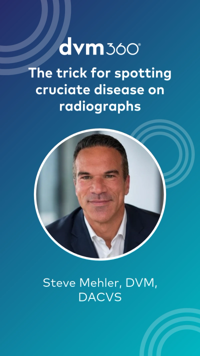 The trick for spotting cruciate disease on radiographs
