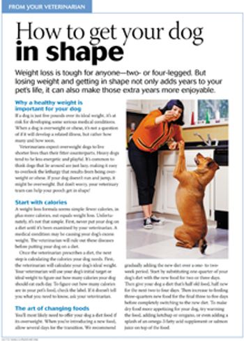Veterinary_dvm360_0215_toolkit_handout_weightlossdogs_220px.jpg