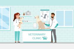 The veterinary practice operating system