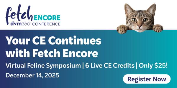 Fetch Encore 2025