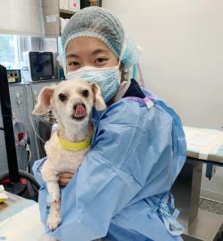 Overcoming language barriers with diverse veterinary staff 