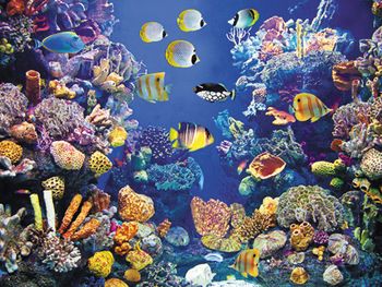 veterinary_fish_136561979_450.jpg