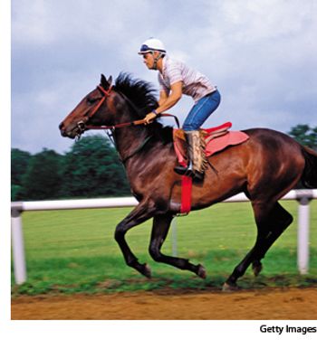 racehorsemeds-810280-1382873883615.jpg