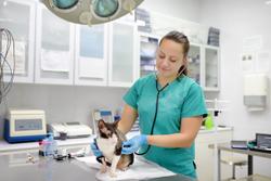 NAVC announces new initiatives for veterinary nurses/technicians