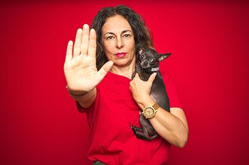 veterinary-woman-hand-up-chihuahua-AdobeStock_297278143-body.jpg