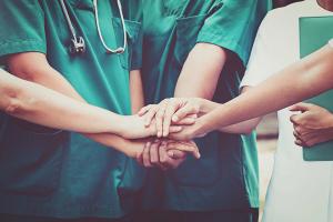 Leading the veterinary team to better well-being