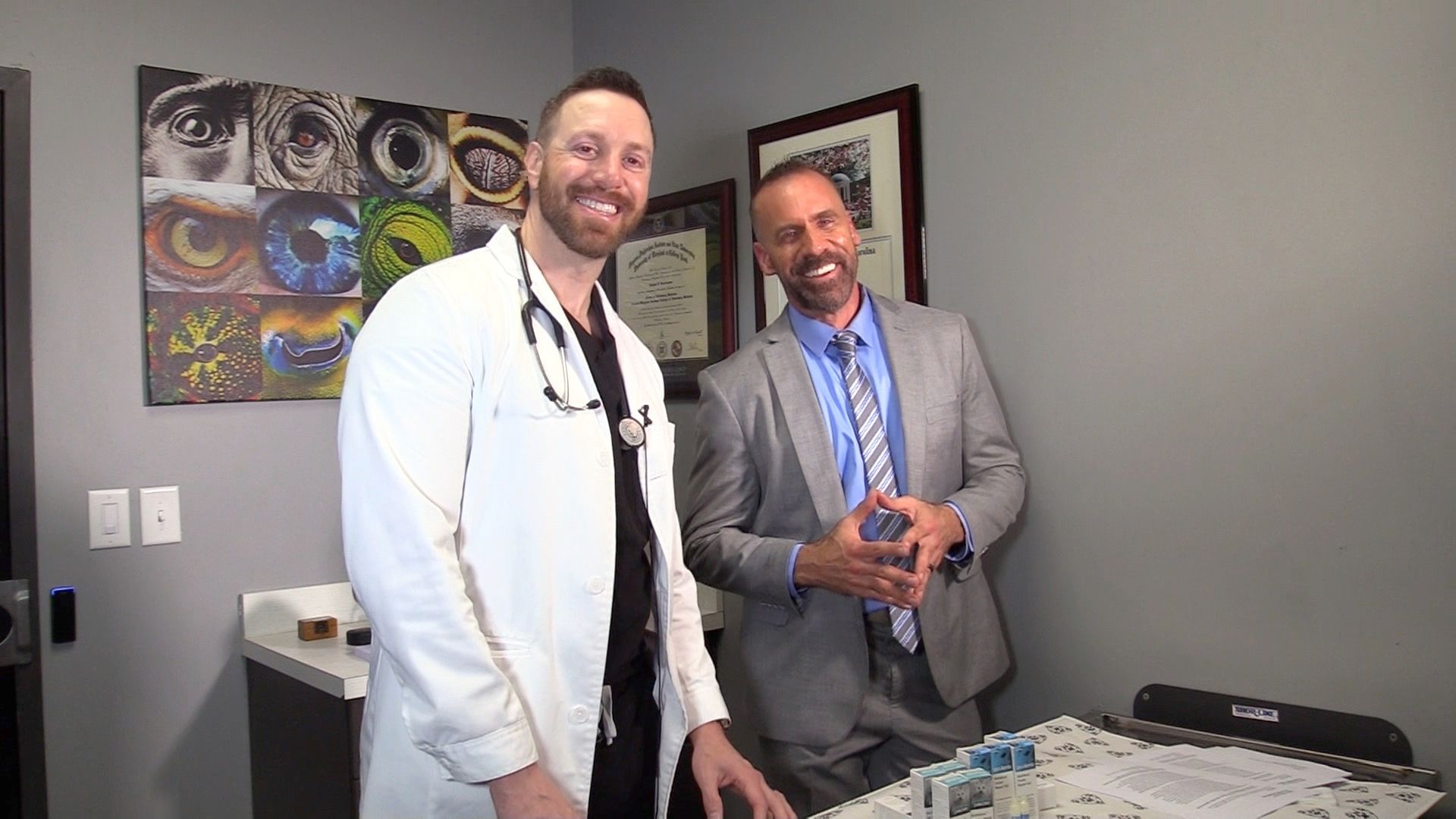 Veterinary ophthalmology
