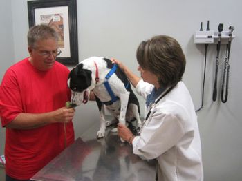 AHS_heartworm_16_exam_room_communication_450.jpg