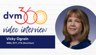 Preparing a nutritional plan for a patient recently diagnosed with cancer