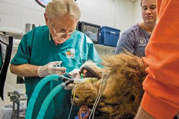 veterinary_CSU1_1_450px.jpg