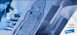 Intestinal parasites: screening & prevention best practices