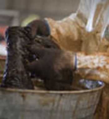 veterinary_oil_spill_14_100-673811-1384276126813.jpg