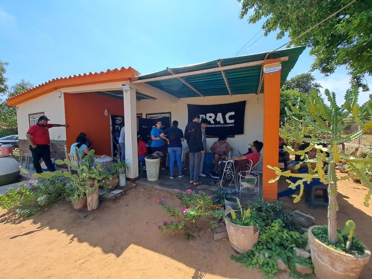 Red de Apoyo Canino spay and neuter clinic in Venezuela