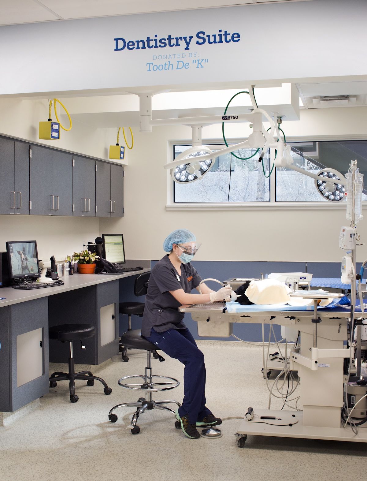 Dentistry suite