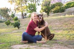 Veterinarian releases her first publications for pet parents of aging dogs