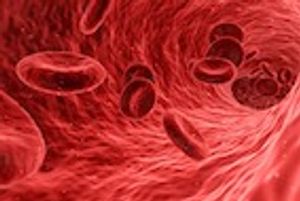 ACVP 2017: Going Back to Basics to Interpret Pathologic Findings