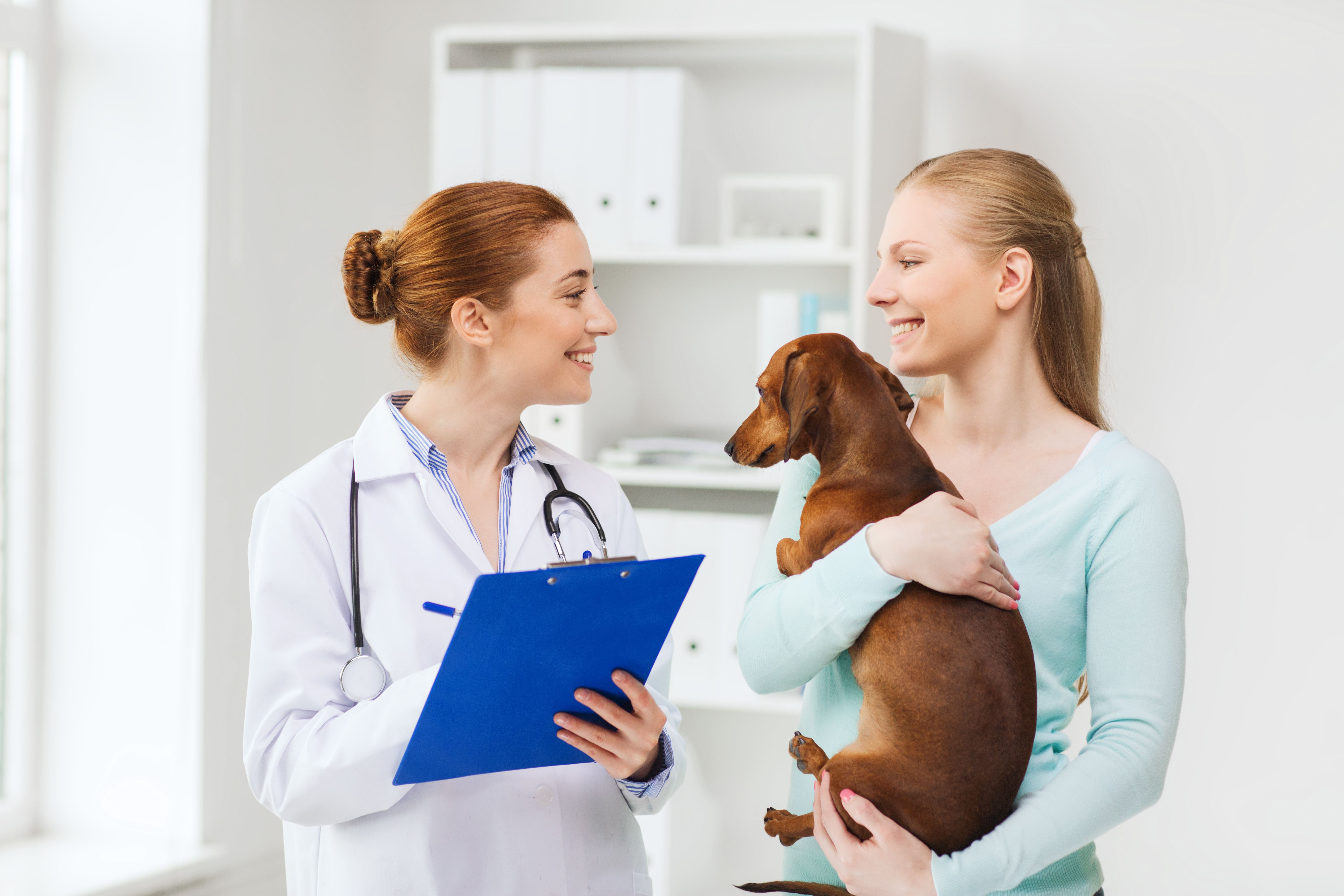 veterinarian with pet owner and dog