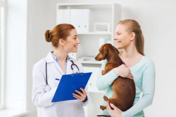 veterinarian with pet owner and dog