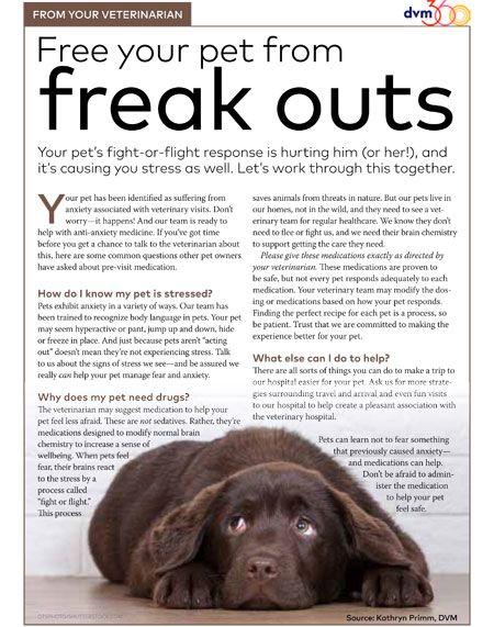 veterinary-handout-addressing-anxiety_HW3.jpg