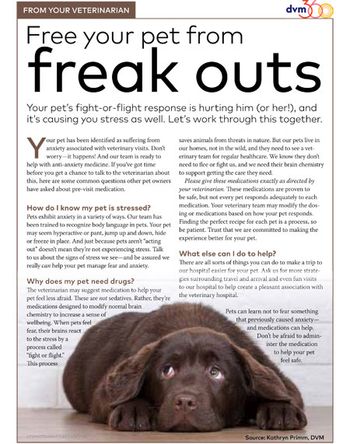 veterinary-handout-addressing-anxiety_HW3.jpg
