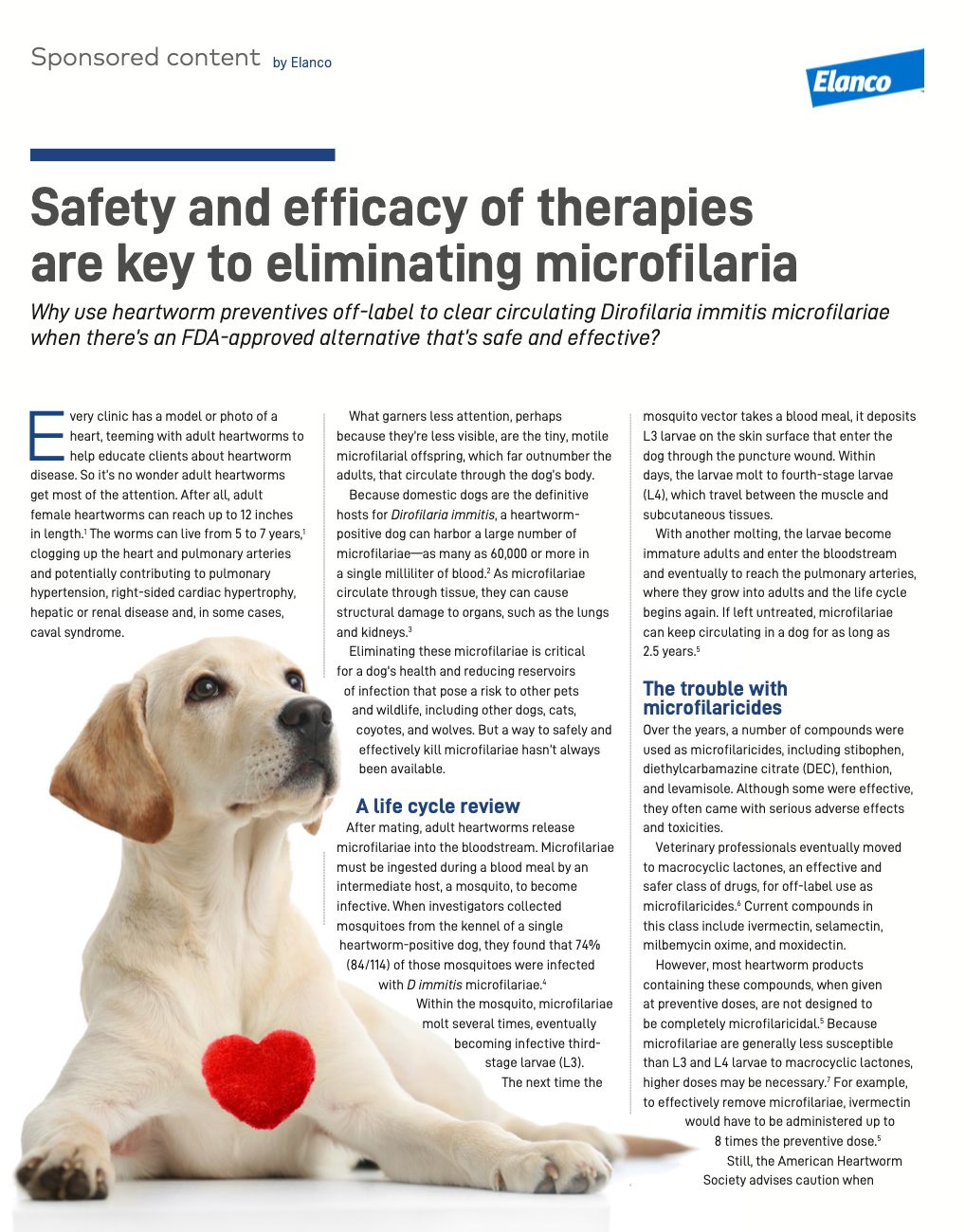 Giving ivermectin to heartworm positive deals dog