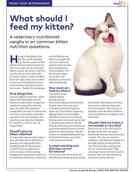 veterinary-kitten-nutrition-client-handout-450.jpg