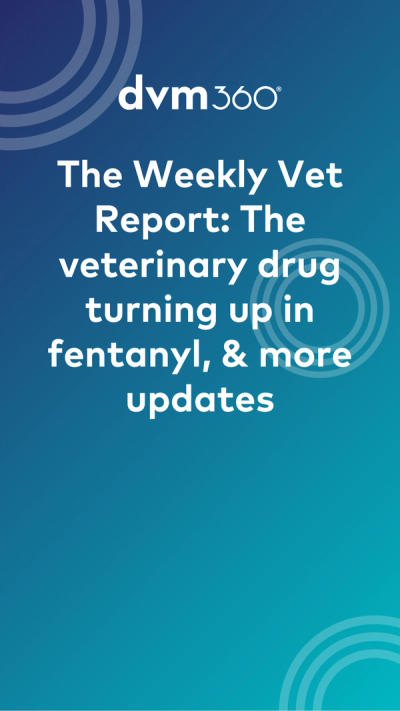 Weekly Vet Report: The veterinary drug turning up in fentanyl, & more updates