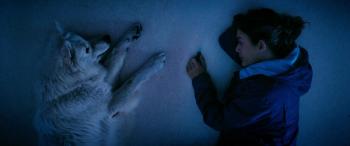 The Dog with Kate Walsh