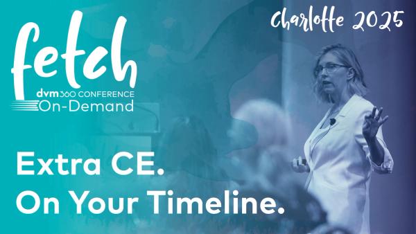 Fetch On-Demand Charlotte 2025 Conference