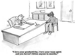 veterinary-business-cartoon-about-a-positive-performance-review-450px-shutterstock-420803143.jpg