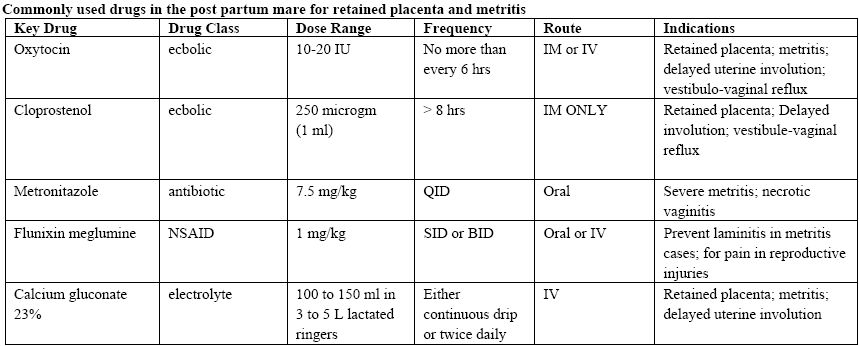 The Postpartum Mare Managing Basic Problems Proceedings The Postpartum Mare Managing Basic Problems Proceedings