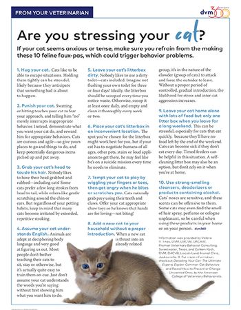 veterianry-cat-handout-450.jpg