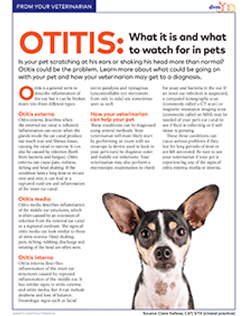 091318_veterinary-handout_otitis_220_2.gif