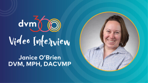 Validating a dietary survey tool for dogs 