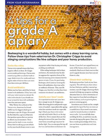 veterinary-handout-apiary-beekeeping-450.jpg