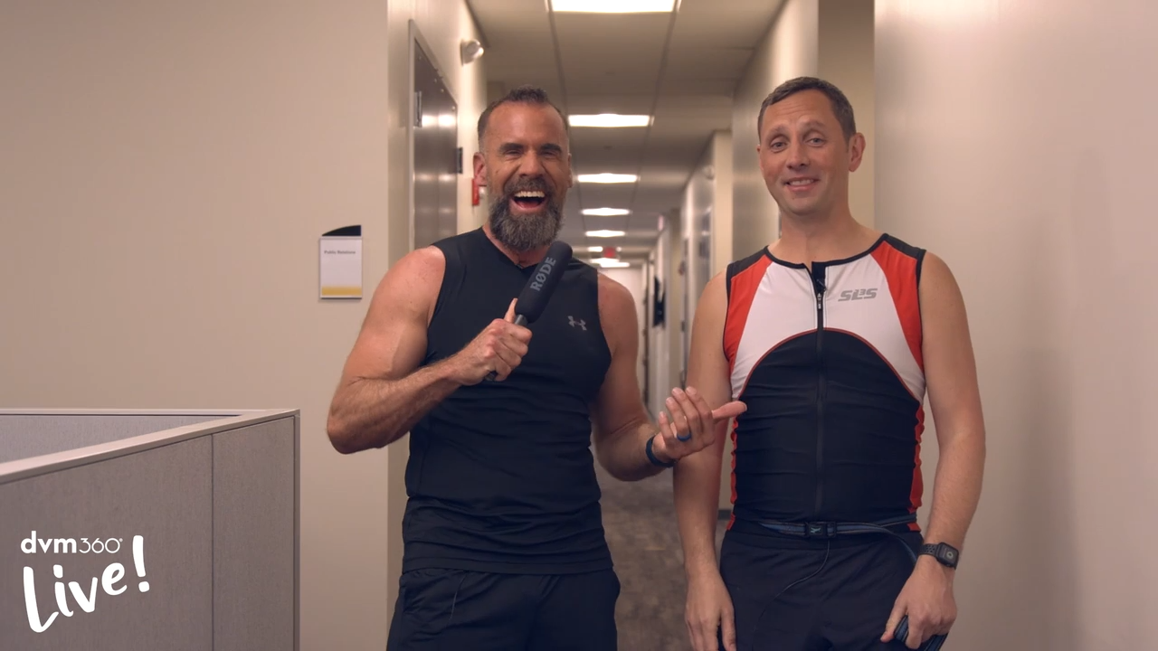 How to stay fit as a veterinary professional 8 How to stay fit as a veterinary professional