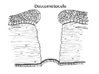 i4-587786-1384516297698.jpg
