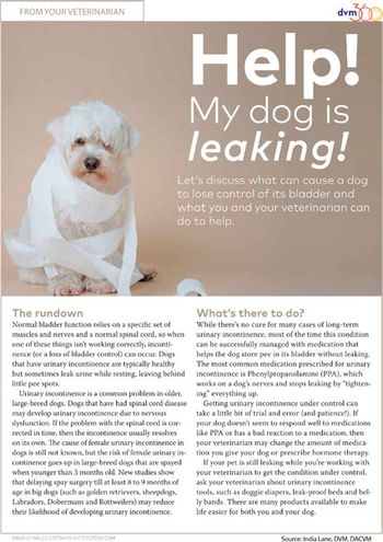 leaky-pet-450.jpg
