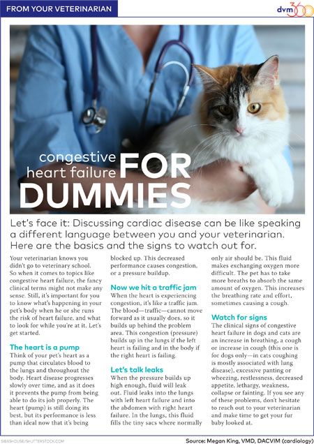 Client Handout: Congestive Heart Failure For Dummies