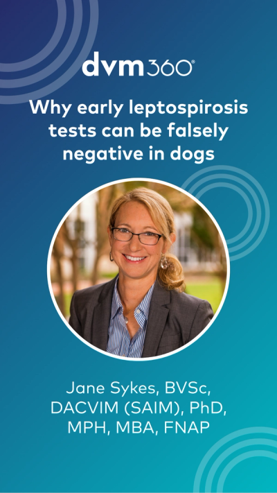 Why early leptospirosis tests can be falsely negative in dogs