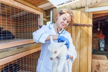 Rural veterinarian