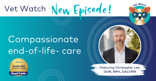 Vet Watch: Compassionate end-of-life-care